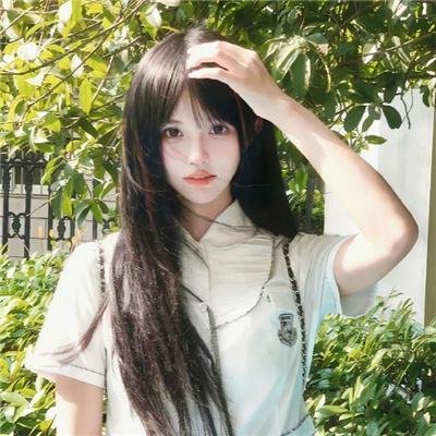幸运狗狗来造访